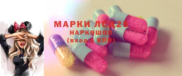 тгк Дмитриев