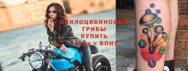 герыч Тавда